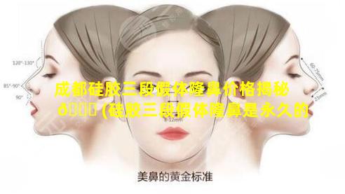 成都硅胶三段假体隆鼻价格揭秘 🐟 (硅胶三段假体隆鼻是永久的吗)